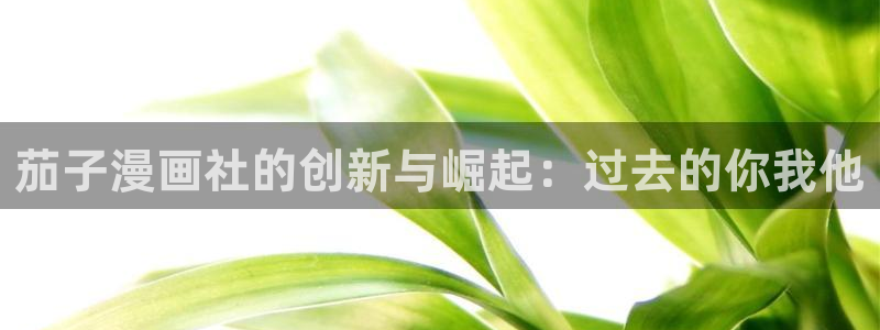 喵趣漫画app复活版：茄子漫画社的创新与崛起：过去的你我他