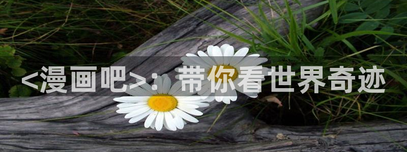 喵趣动漫正版下载：<漫画吧>：带你看世界奇迹