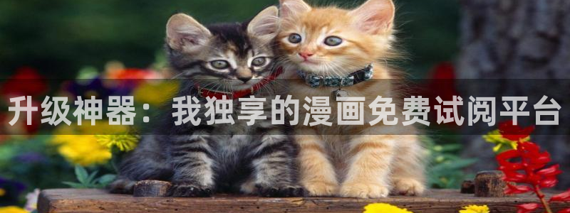 喵趣漫画app下载：升级神器：我独享的漫画免费试阅平台